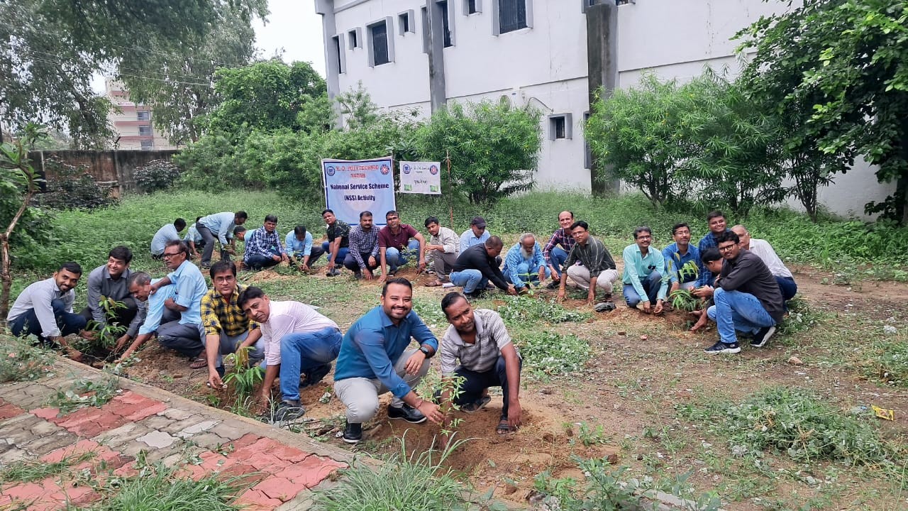 Tree Plantation Program